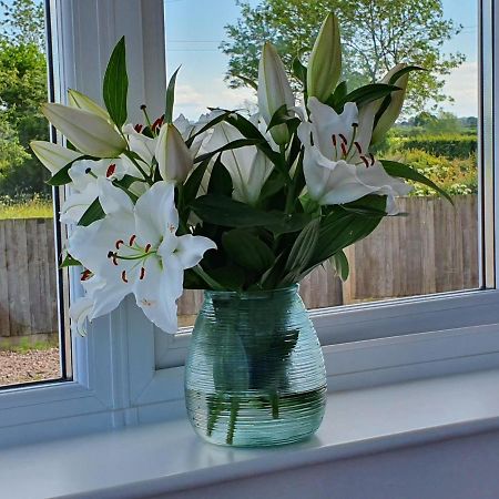Foxes Field B&B Aston Nantwich Wrenbury Exteriér fotografie