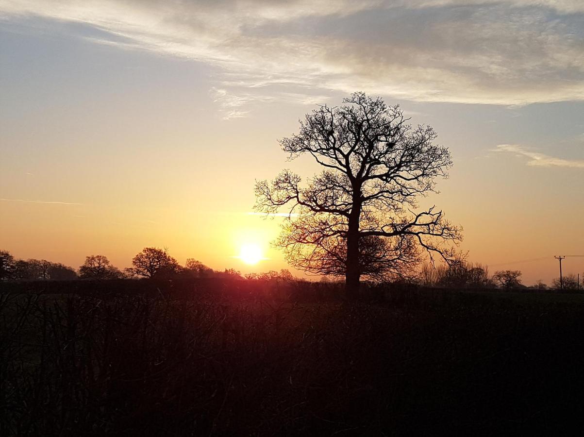 Foxes Field B&B Aston Nantwich Wrenbury Exteriér fotografie